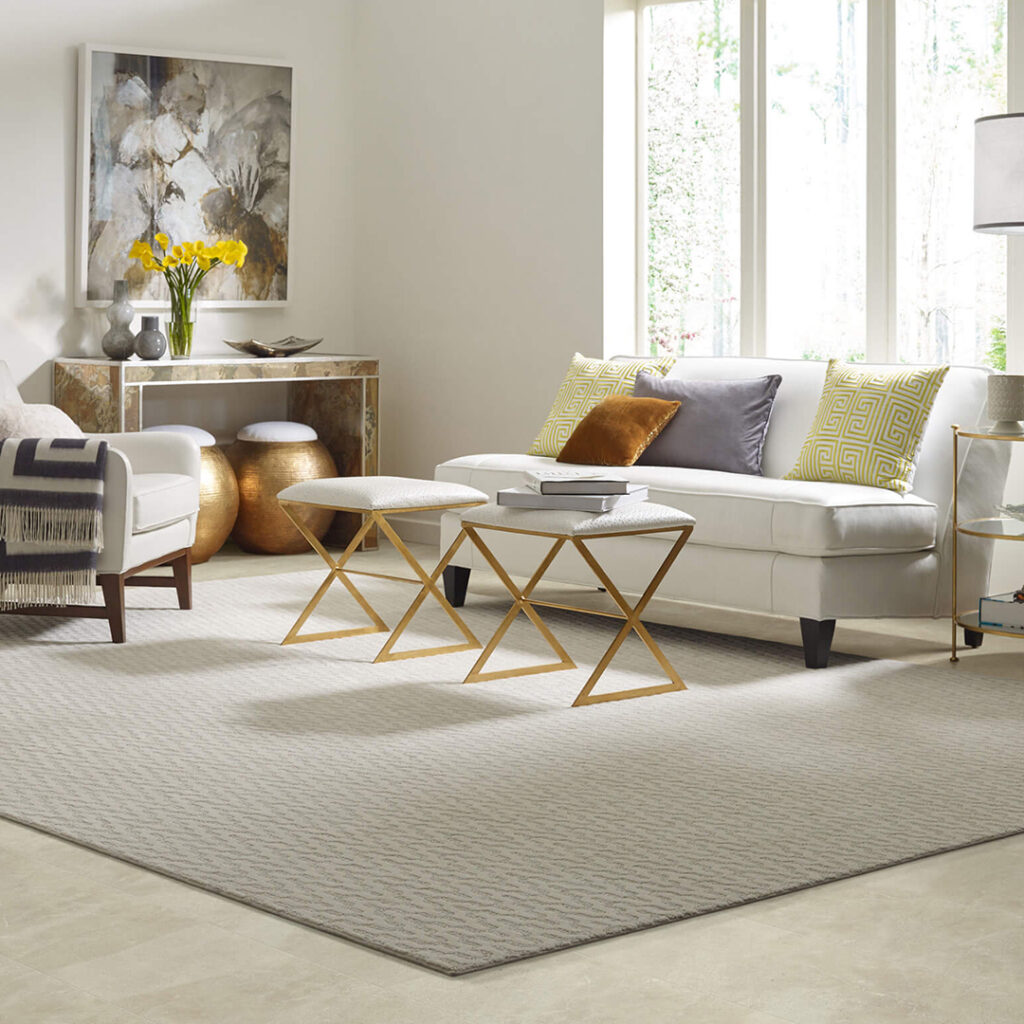 Area Rug | Messina's Flooring